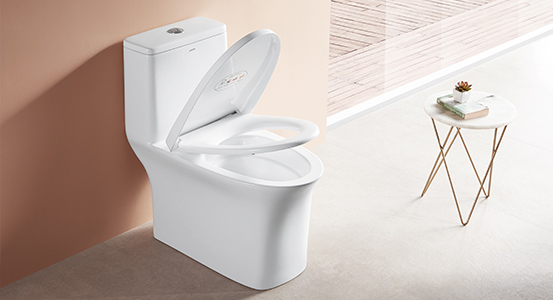 Floor Around the Toilet