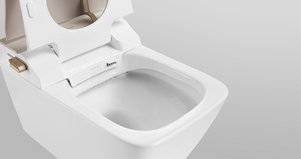 Toilet Seat Cleaning