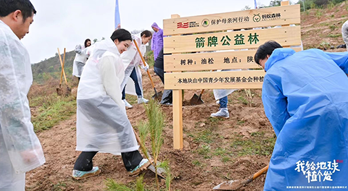 PUBLIC WELFARE ACTIVITY